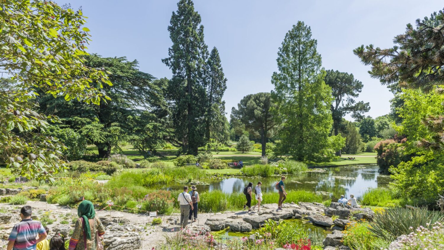 Cambridge University Botanic Gardens 2023 - Select One Top Up